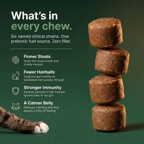 Purrbiotics+ Daily Probiotic Soft Chews for Cats — Chicken Flavor
