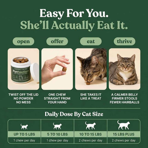 Purrbiotics+ Daily Probiotic Soft Chews for Cats — Chicken Flavor