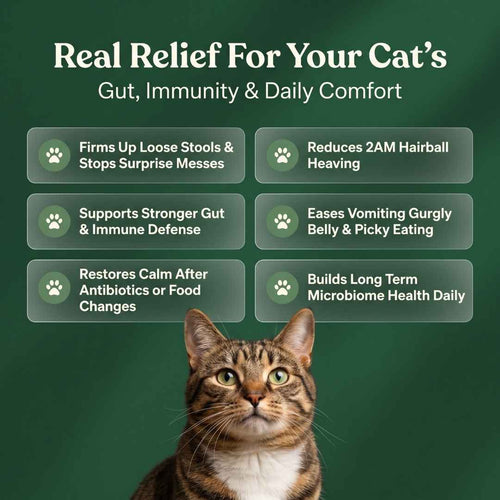 Purrbiotics+ Daily Probiotic Soft Chews for Cats — Chicken Flavor