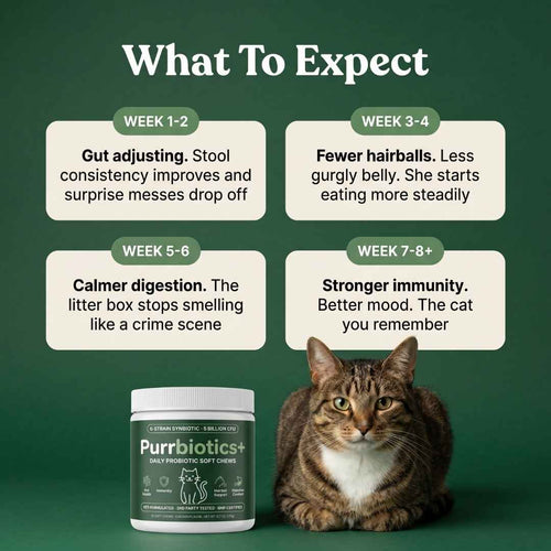 Purrbiotics+ Daily Probiotic Soft Chews for Cats — Chicken Flavor
