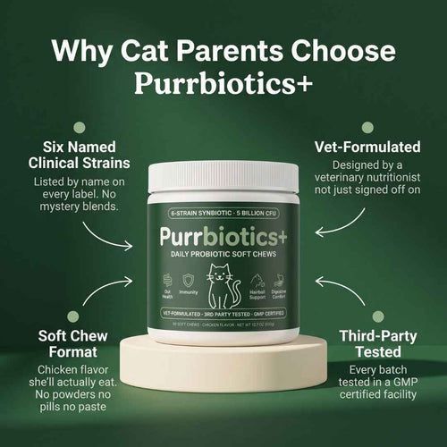 Purrbiotics+ Daily Probiotic Soft Chews for Cats — Chicken Flavor